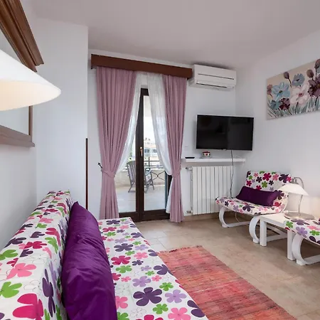 Pet Friendly In Apartment *