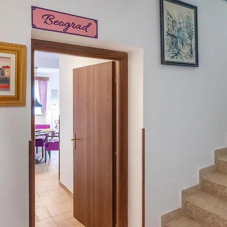 Pet Friendly In Peroj