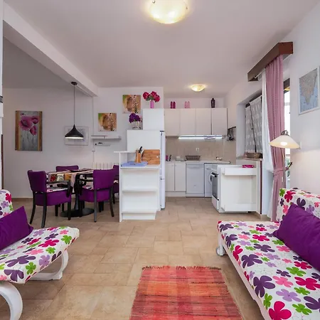Pet Friendly In Apartment
