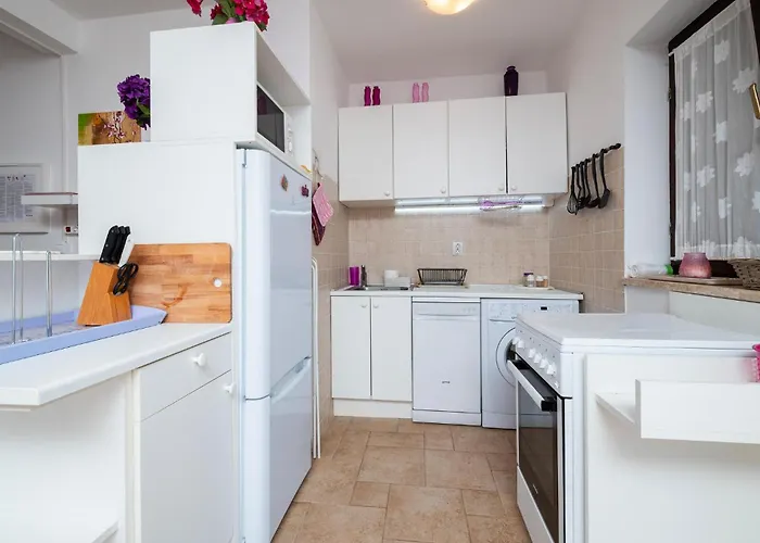 Pet Friendly In Lägenhet Peroj