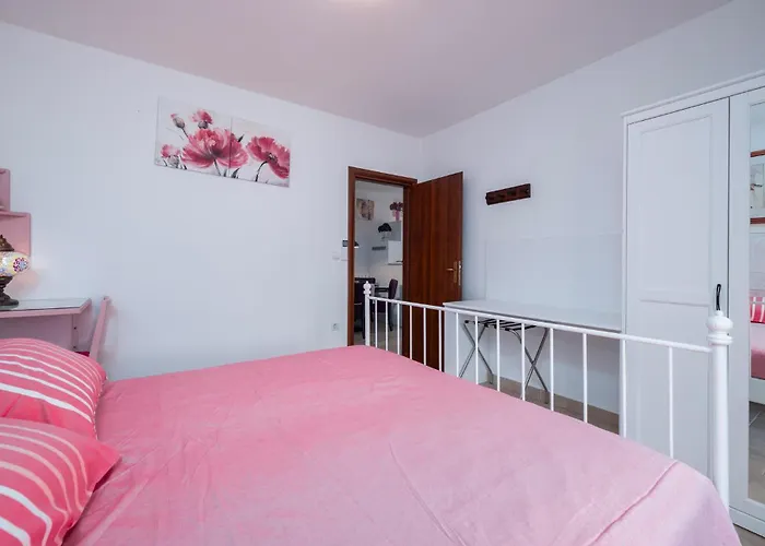 Pet Friendly In * Peroj