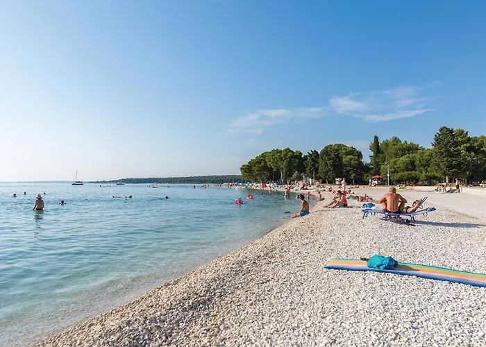 Appartamento Pet Friendly In *