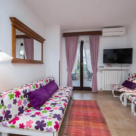 Pet Friendly In Apartment