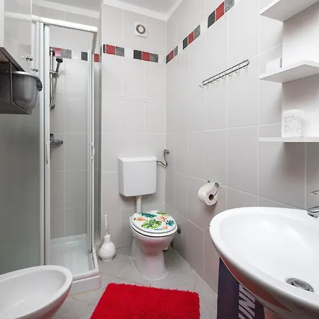 Pet Friendly In Apartment