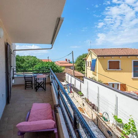 Pet Friendly In Apartment