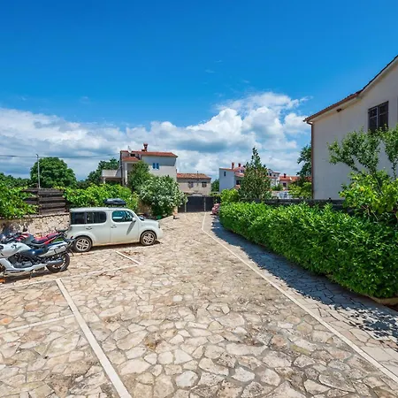 Pet Friendly In * Peroj