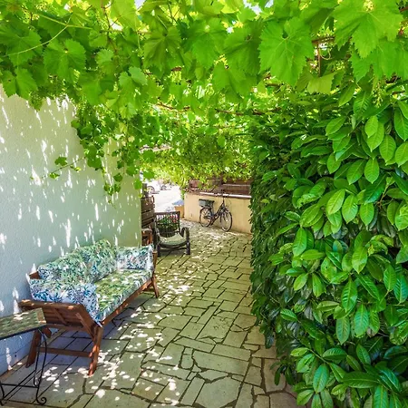 Pet Friendly In Apartment *