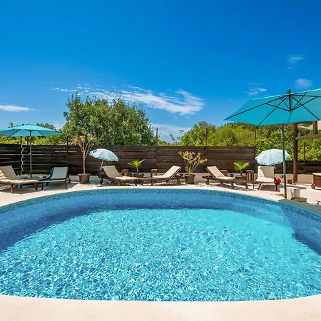 Apartment Pet Friendly In *