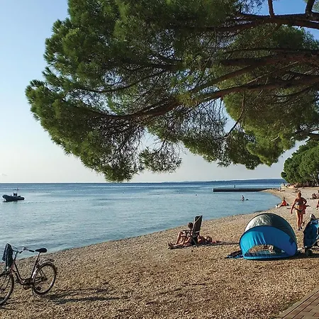 Pet Friendly In * Peroj