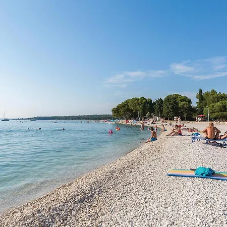 Apartment Pet Friendly In *