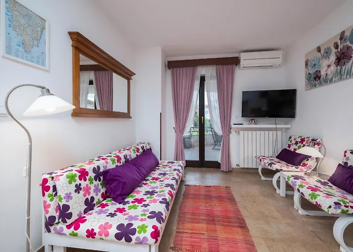 Pet Friendly In Apartment