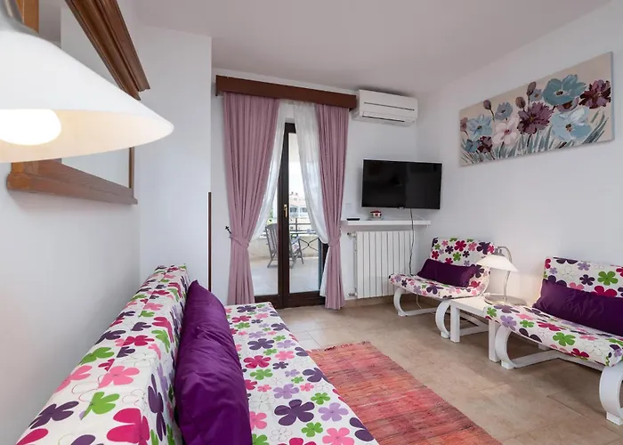 Pet Friendly In Apartment *