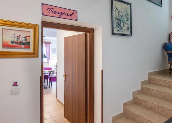 Pet Friendly In Peroj