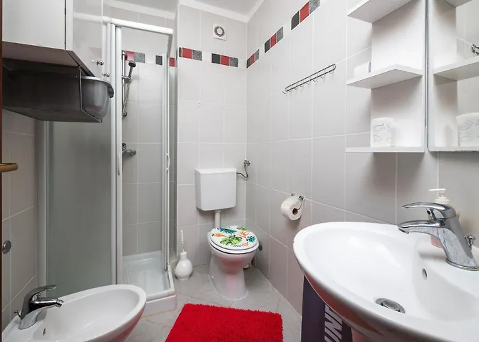 Pet Friendly In Apartment