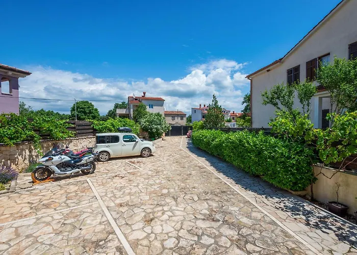 Pet Friendly In * Peroj