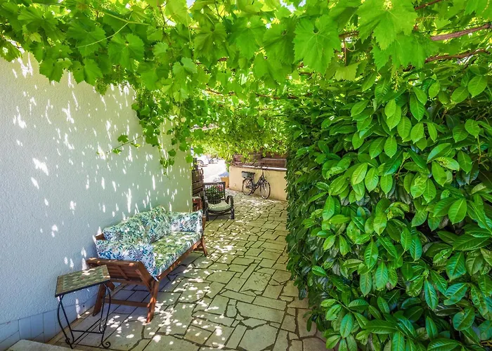 Pet Friendly In Appartement *