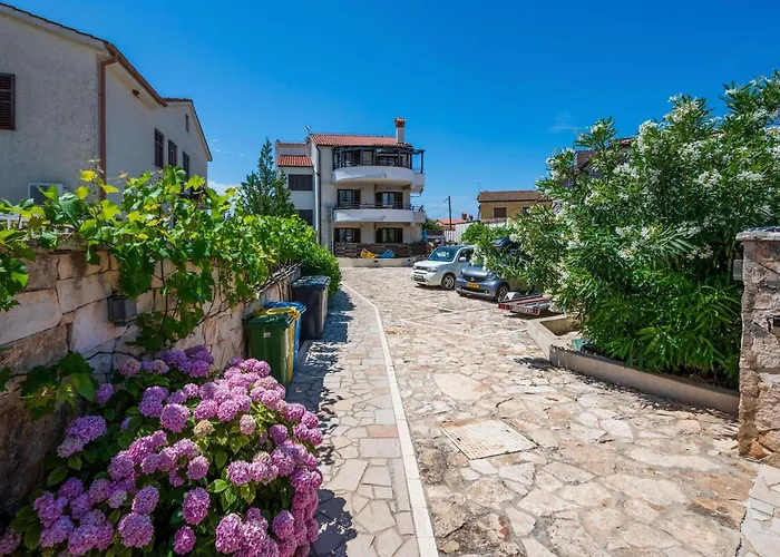 Pet Friendly In Appartement Peroj