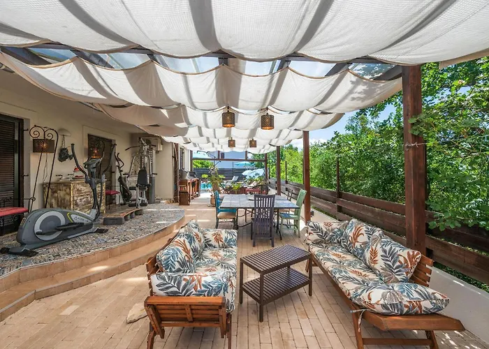 Pet Friendly In Apartment