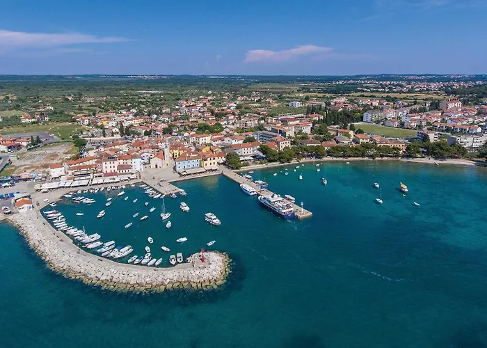 Pet Friendly In * Peroj