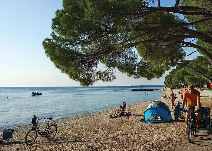 Pet Friendly In * Peroj